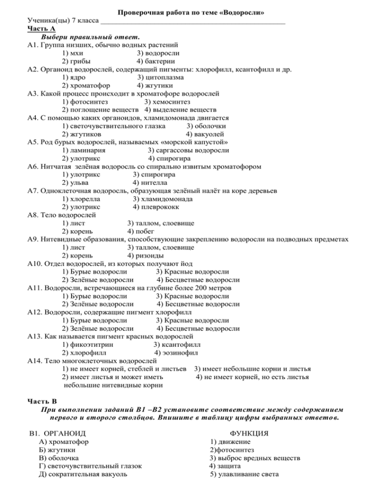 Тест по биологии водоросли 5 класс