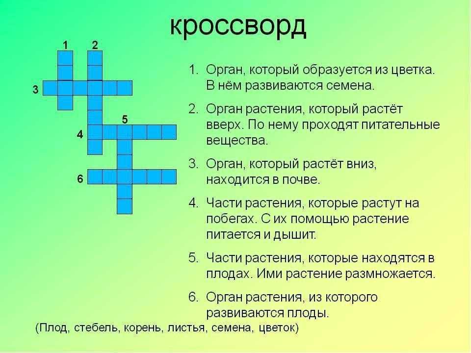Тесты по биологии (11 класс) с ответами для подготовки к итоговой контрольной работе