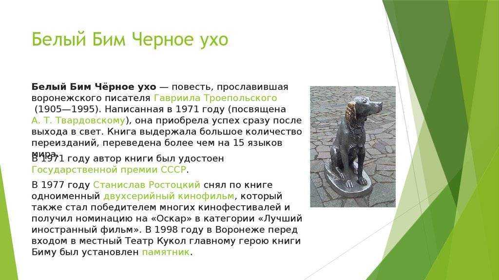 Замечательное сочинение по повести белый бим черное ухо