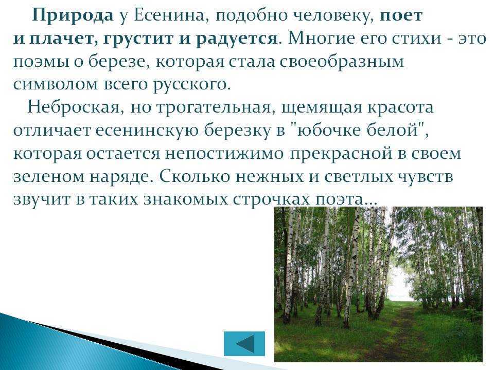 Любовная лирика есенина - анализ стихотворений о любви