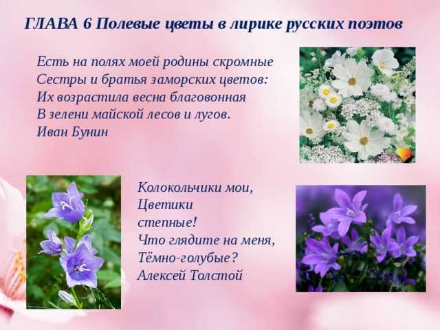 Найти все средства выразительности языка в стихотворении а.фета "ночь крещенская морозна "   ночь кр