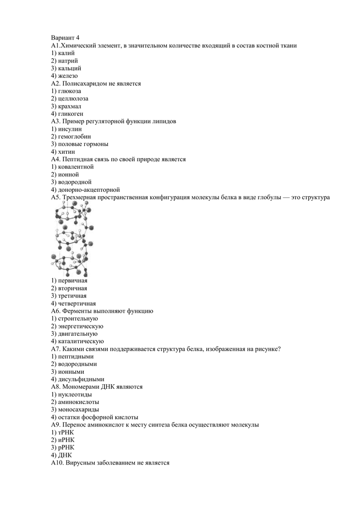 Тест по биологии молекулярный уровень 9 класс