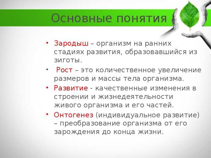 Основы систематики растений, тест с ответами, 6 класс