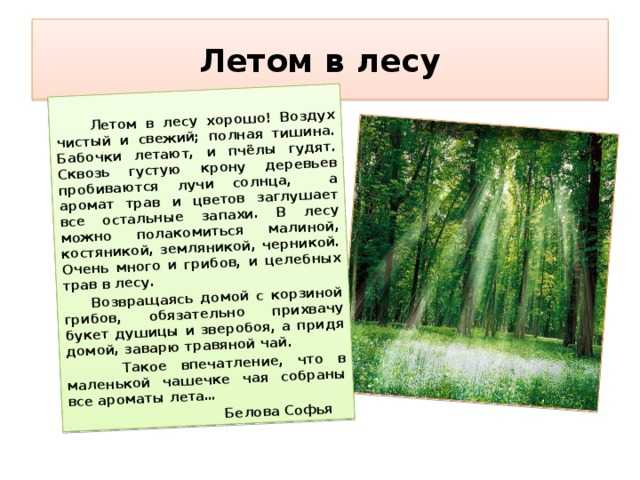 Весенние каникулы: много отличных сочинений, все классы