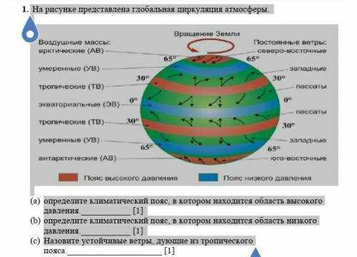 Тесты по географии 7 класс