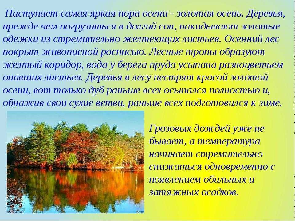 Сочинение на тему дыхание осени 6, 8, 10 класс
