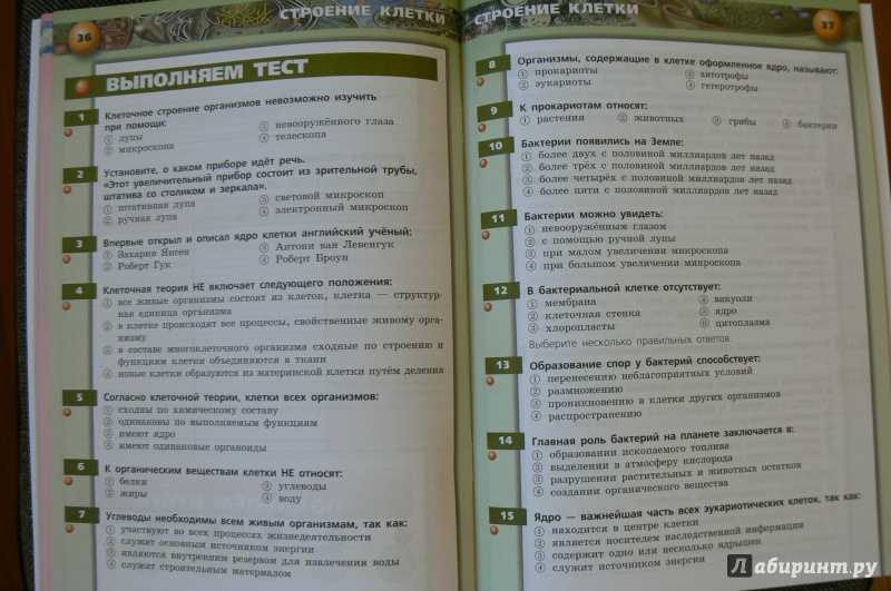 Тест по биологии органы цветковых растений 6 класс