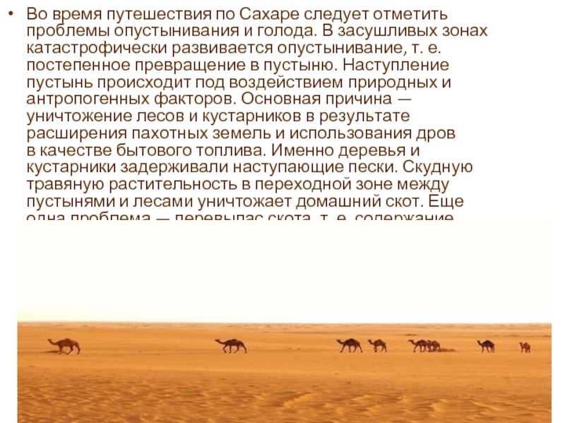 Сообщение по теме мое путешествие по африке