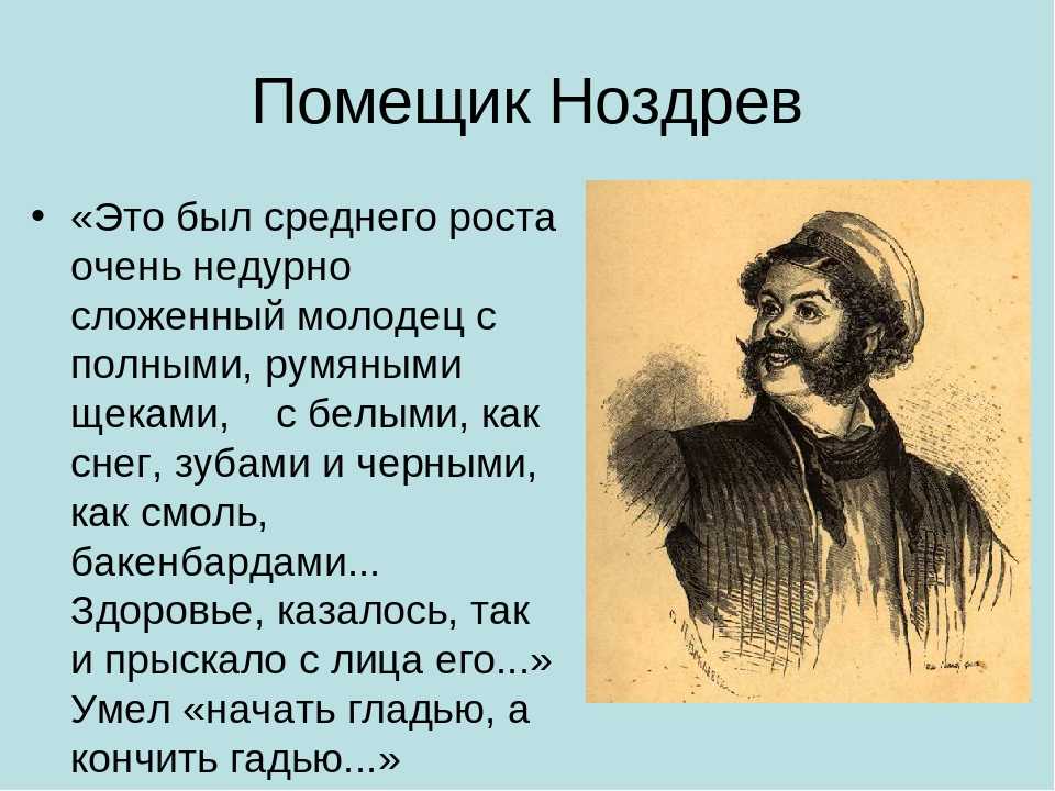 Тема - усадьба ноздрева (описание хозяйства) в поэме мертвые души