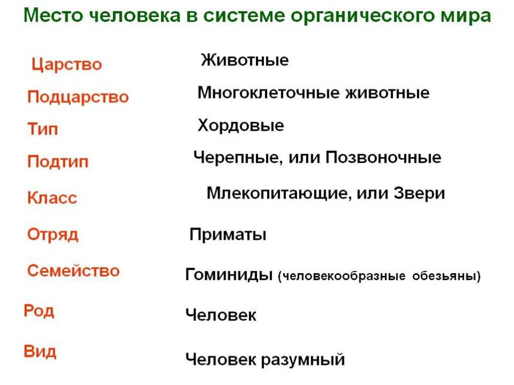 Тесты по биологии 8 класс