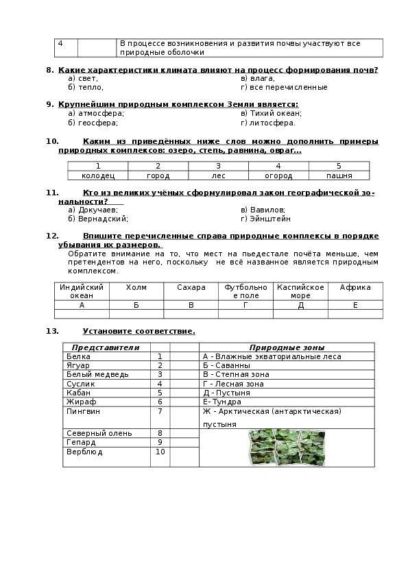 Контрольная по географии 6 класс. Биосфера контрольная работа 6 кл. Задания по теме Биосфера 6 класс география.