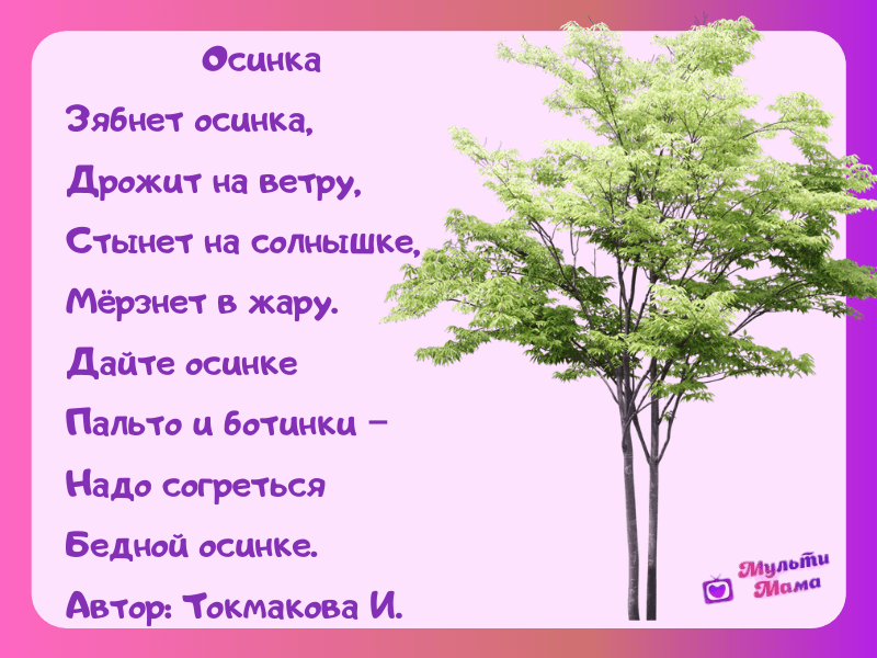Анализ рассказа мальчик у христа на ёлке достоевского