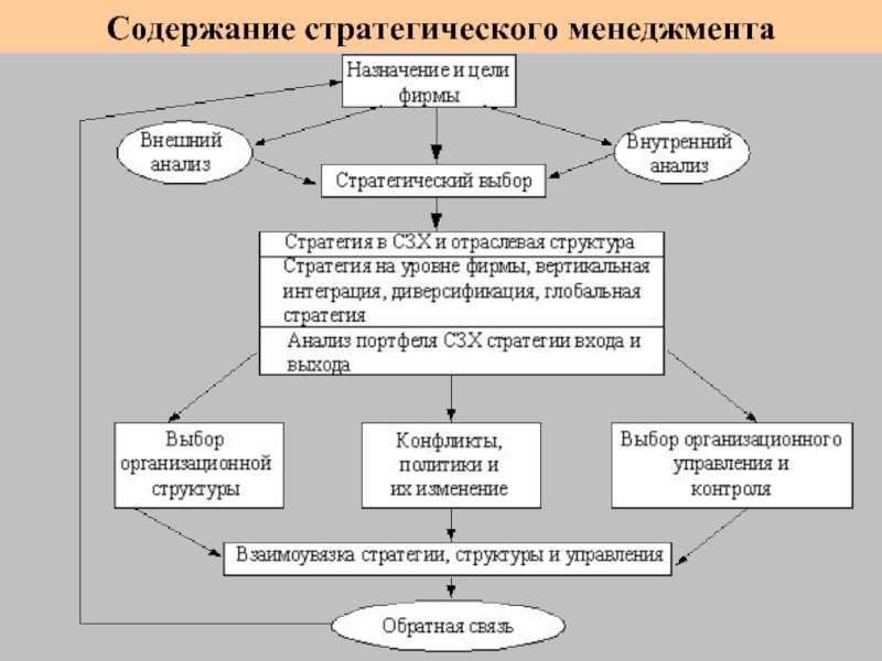 Структуры и стратегии управления самообразованием презентация