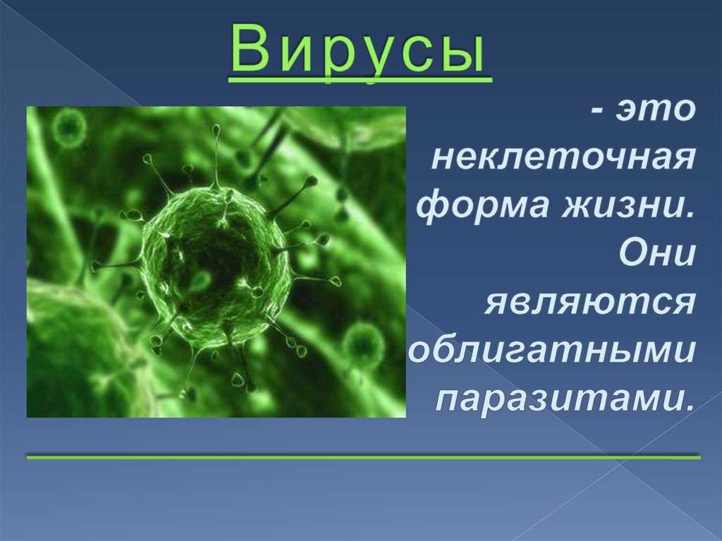 Информация про биологию. Презентация по биологии 5 кл вирусы. Вирусы проект по биологии. Вирусы доклад. Проект про вирусы.