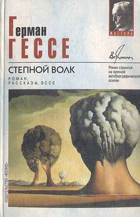 Герман гессе. степной волк - краткое содержание произведений