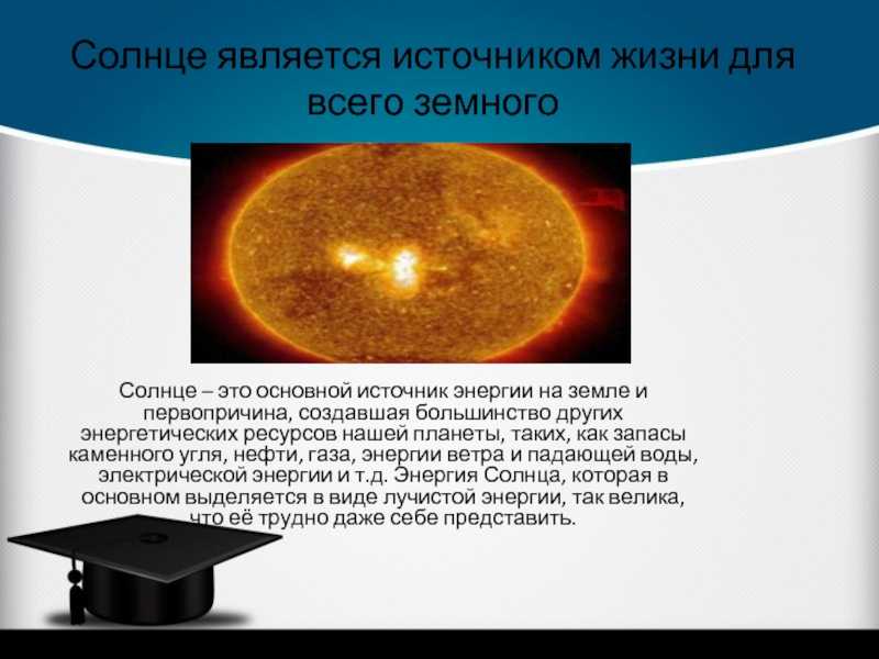 Организмы, использующие энергию солнечного света