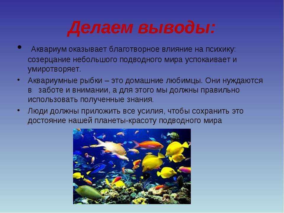 Исследование аквариумных рыбок какая наука