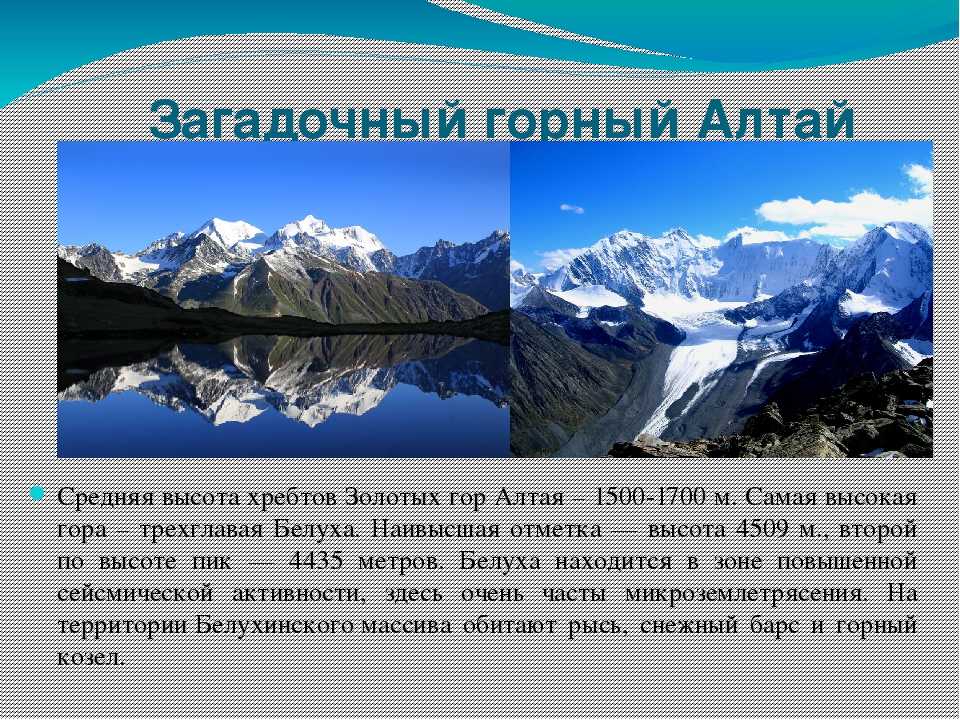 Особенности природы и растительного мира алтайского края
