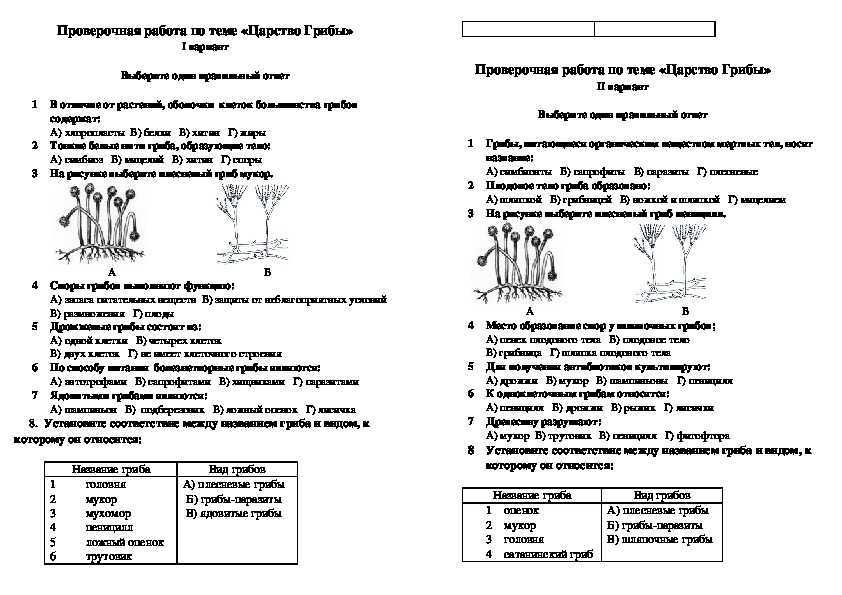 Тест по биологии 5 класс 2 глава. Контрольная работа по биологии 5 класс тема грибы. Тест грибы 5 класс Пономарева. Контрольная работа по биологии 5 класс с ответами на тему грибы. Проверочная работа по биологии 5 класс с ответами.