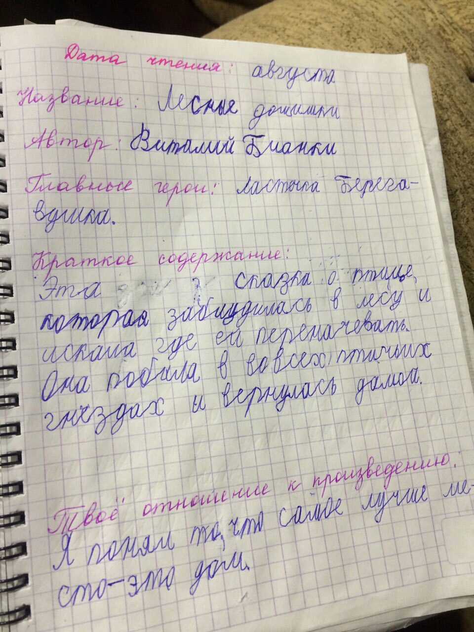 Сочинение на тему каникулы моей мечты