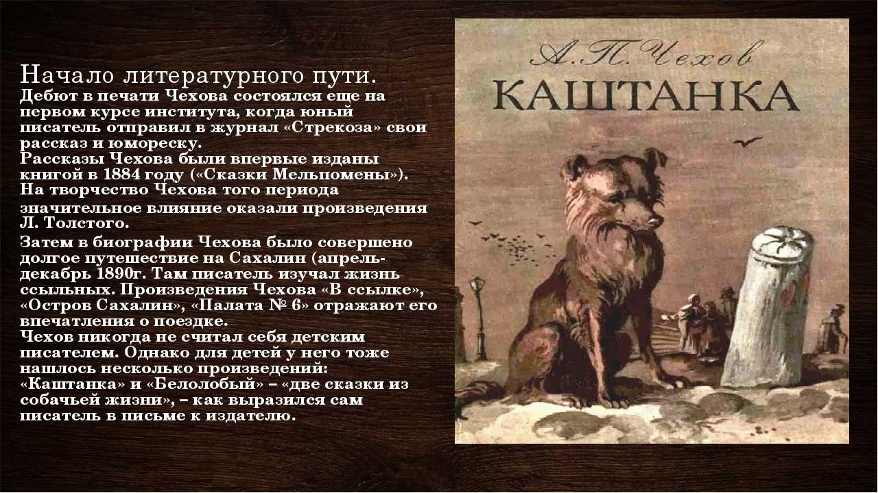 План текста история каштанки