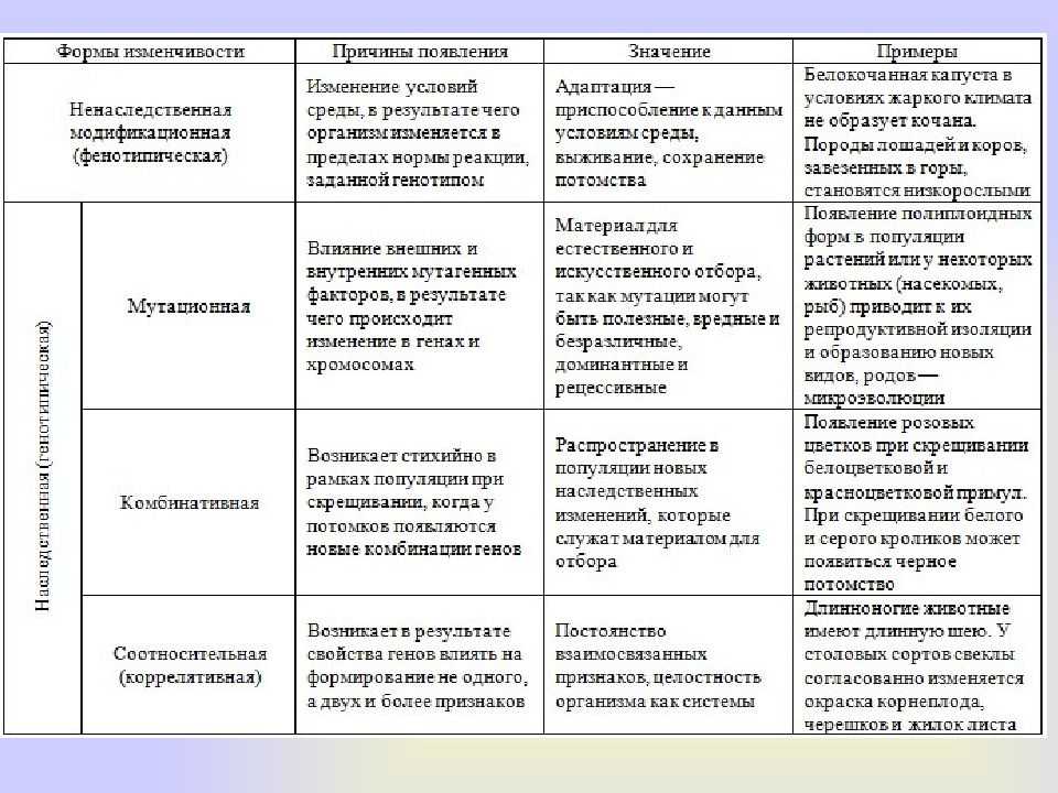 Тесты по биологии 9 класс