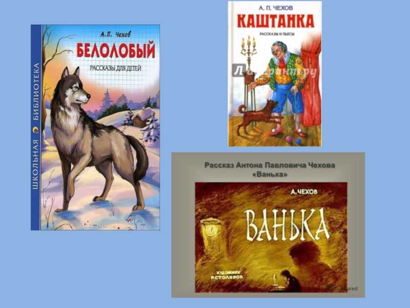 Сочинение моя любимая одежда