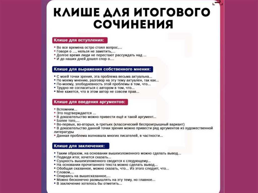 Сочинение на английском языке бездомные животные/ stray animals с переводом на русский язык