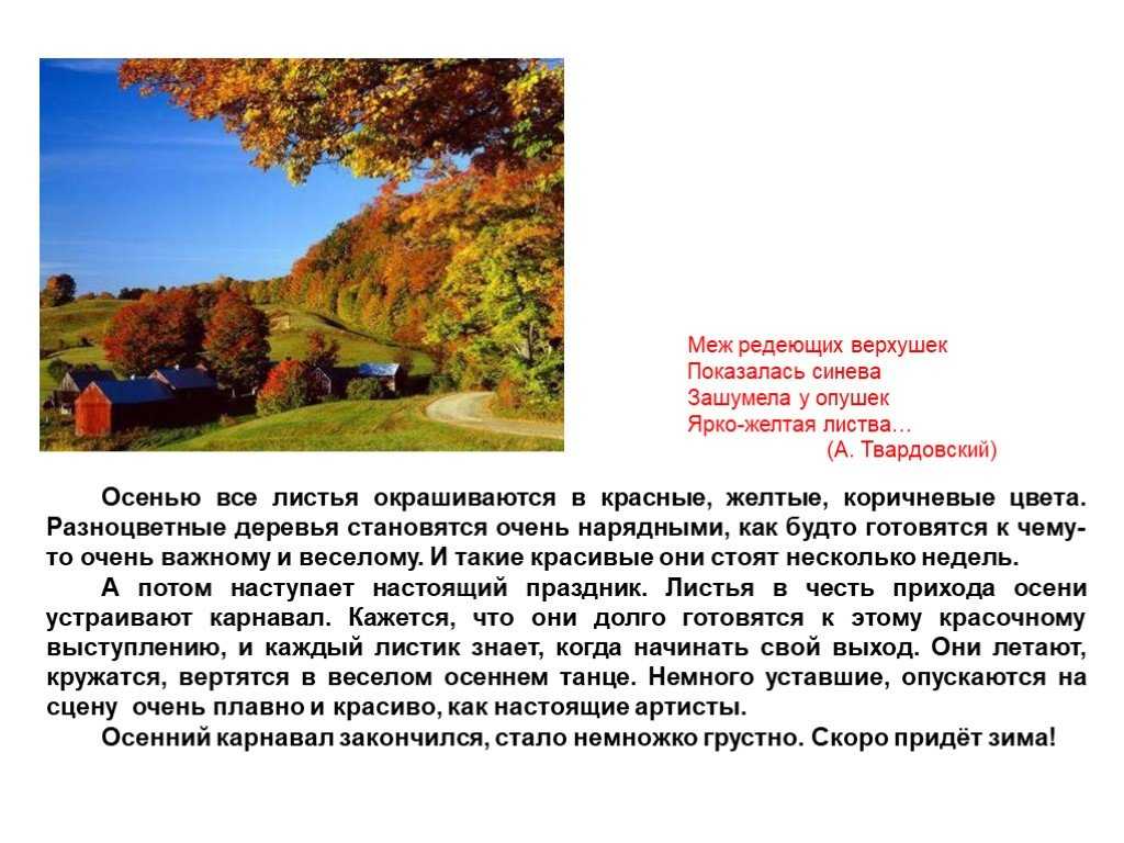 Описание осеннего утра — от земли до неба