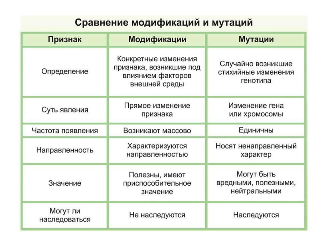 Итоговый годовой тест по биологии 9 класс