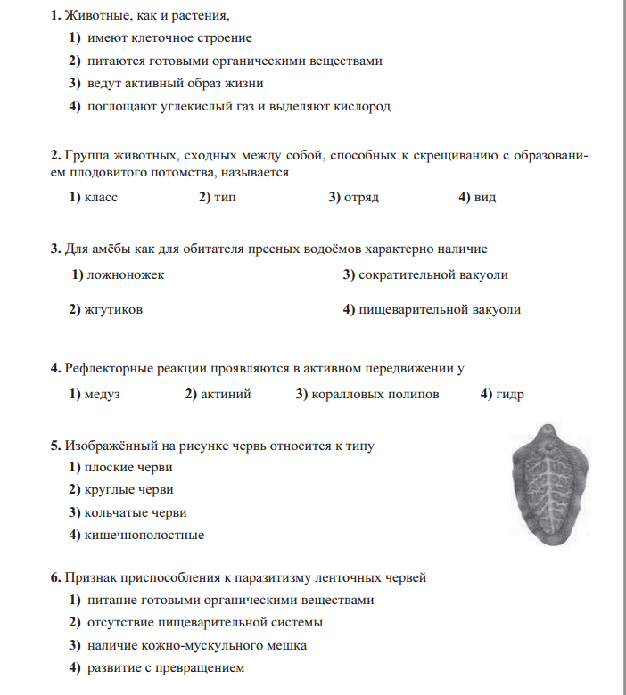 Тест по биологии тип плоские черви 7 класс