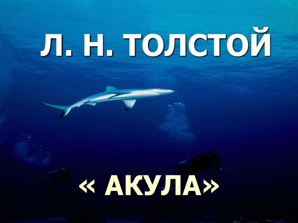 Анализ рассказа «котёнок» льва толстого