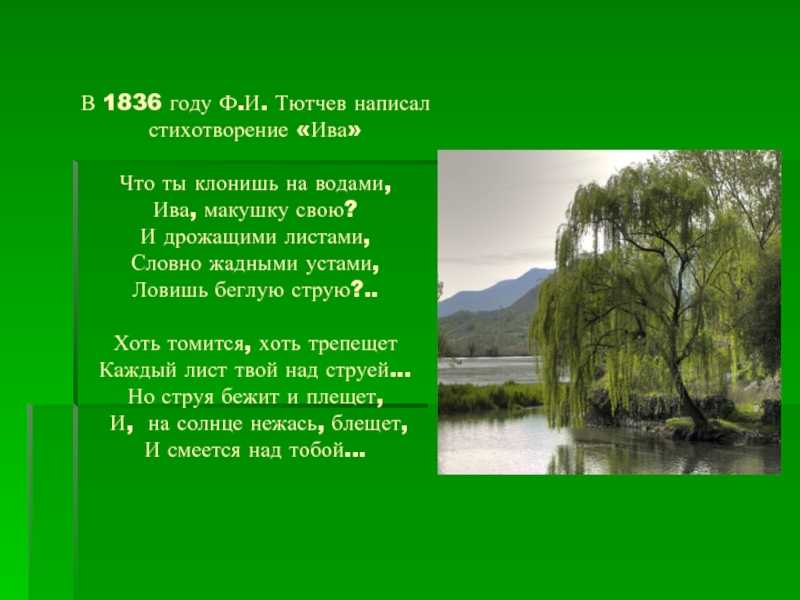 Афанасий фет: певец мгновенья
