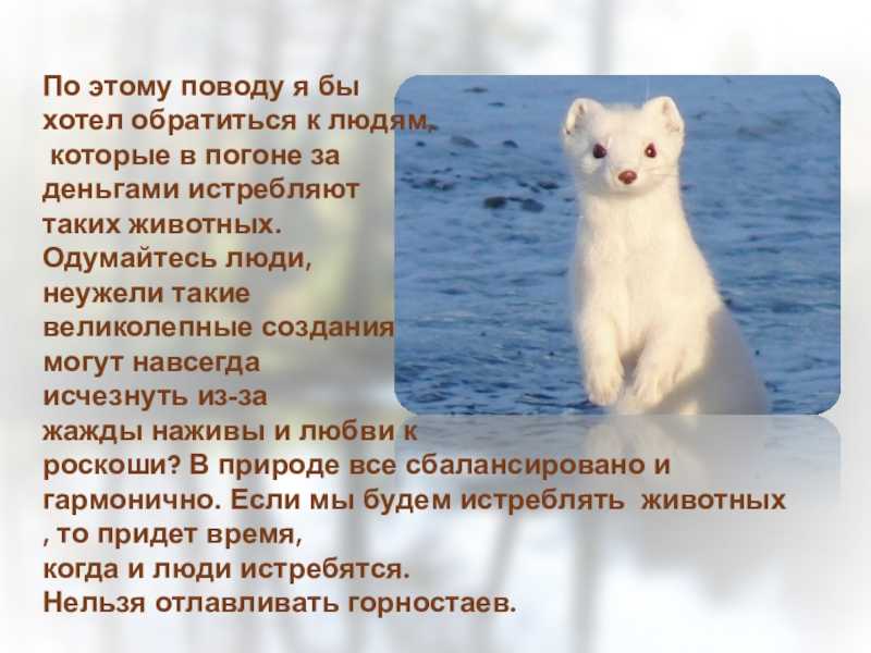 Ответы на вопрос вороны - сообщение доклад (2, 3 класс окружающий мир)