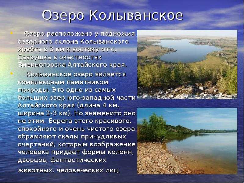 Сообщение о верблюде — описание, виды и среда обитания