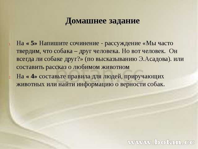 Сочинение про любимую собаку :: школьное сочинение на сочиняшка.ру