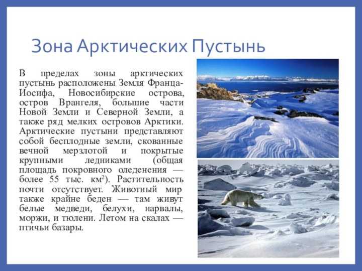 Арктическая природная зона. Краткая характеристика арктических пустынь. Арктическая пустыня России. Природные зоны России зона арктических пустынь.