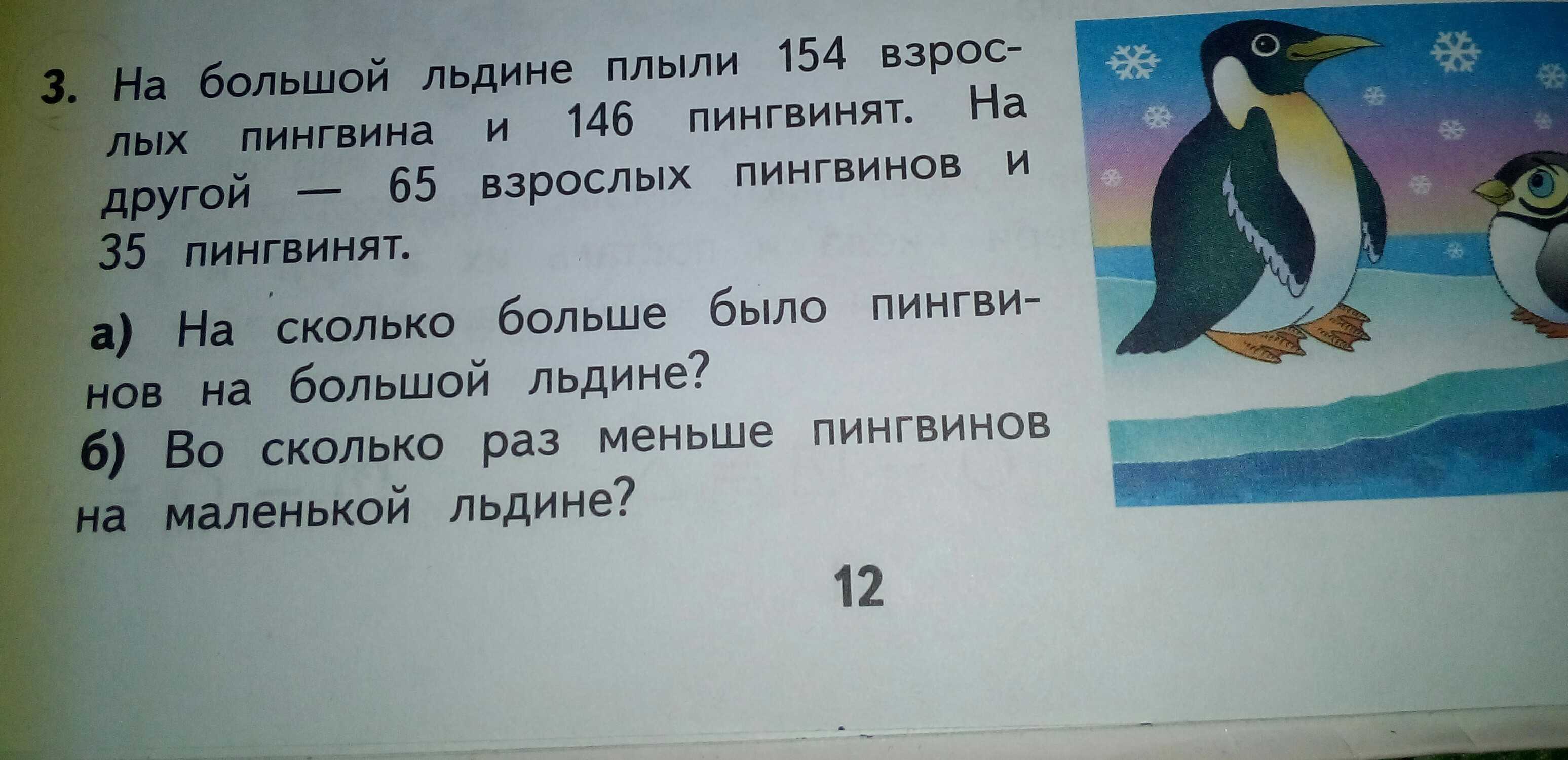 10 мест где обитают пингвины в дикой природе