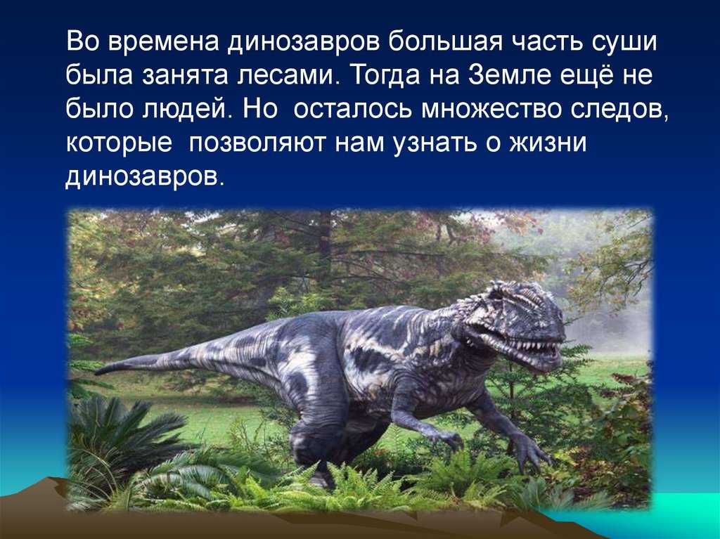 Динозавры презентация. Сообщение о динозаврах. Проект про динозавров. Рассказать про динозавра.