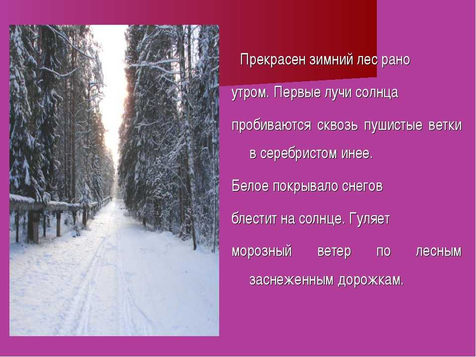 Сочинение на тему лес зимой или зимний лес