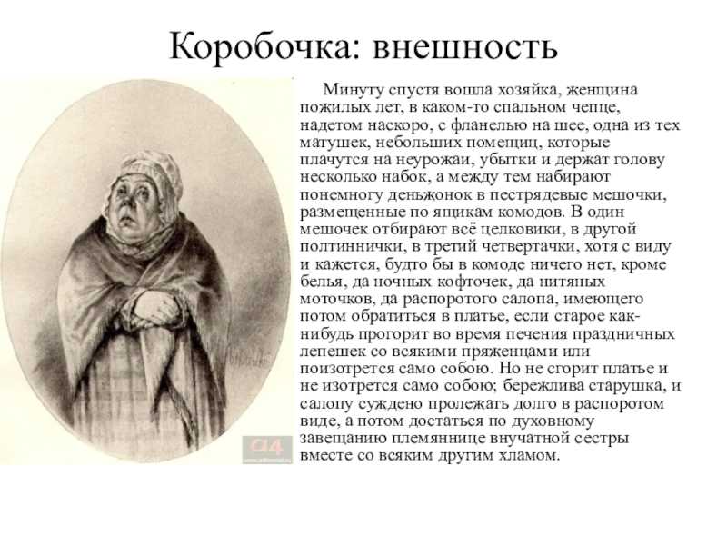 Характеристика коробочки в поэме мертвые души кратко, образ с цитатами помещика для сочинения в таблице