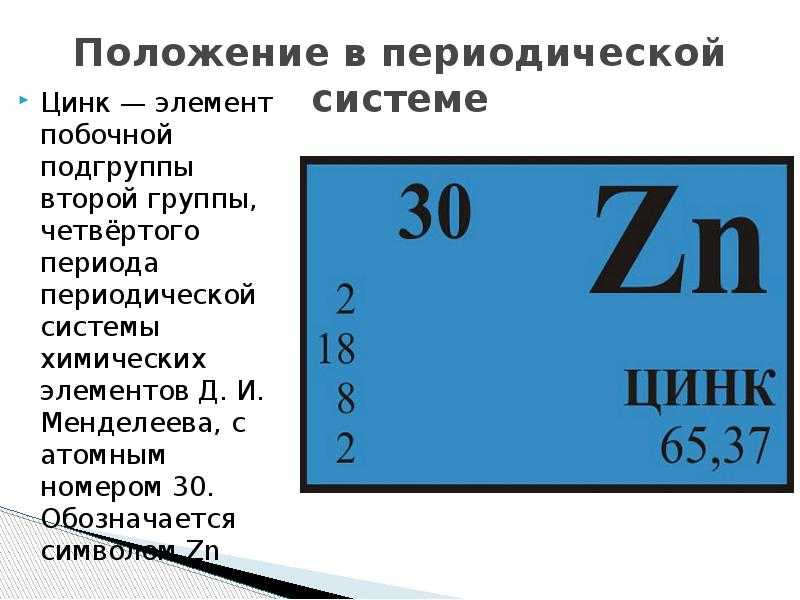 Сообщение о ядовитых животных 4 класс
