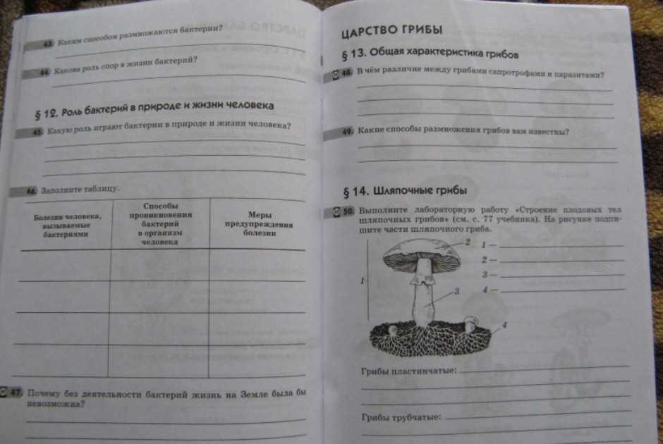 Тест по биологии 7 класс бактерии грибы. Биология рабочая тетрадь царство грибы. Тест по биологии грибы. Рабочая тетрадь по биологии 5. Проверочная по грибам.
