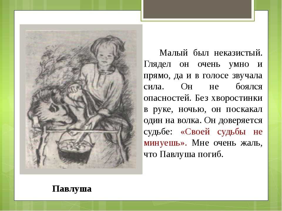 Авторское отношение к феде из рассказа. Бежин луг герой Павлуша. Тургенев Бежин луг Павлуша. Бежин луг описание мальчиков Павлуша. Бежин луг Павлуша описание.