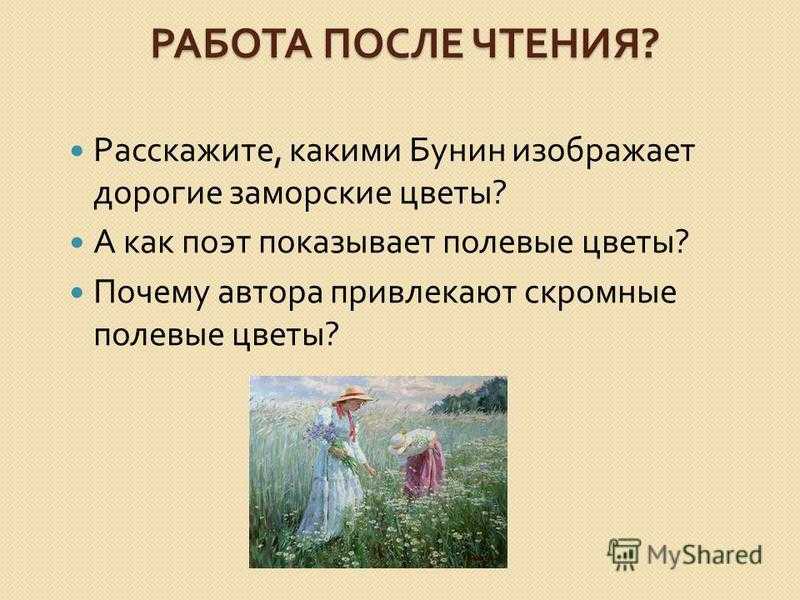 Анализ стихотворения диана фета