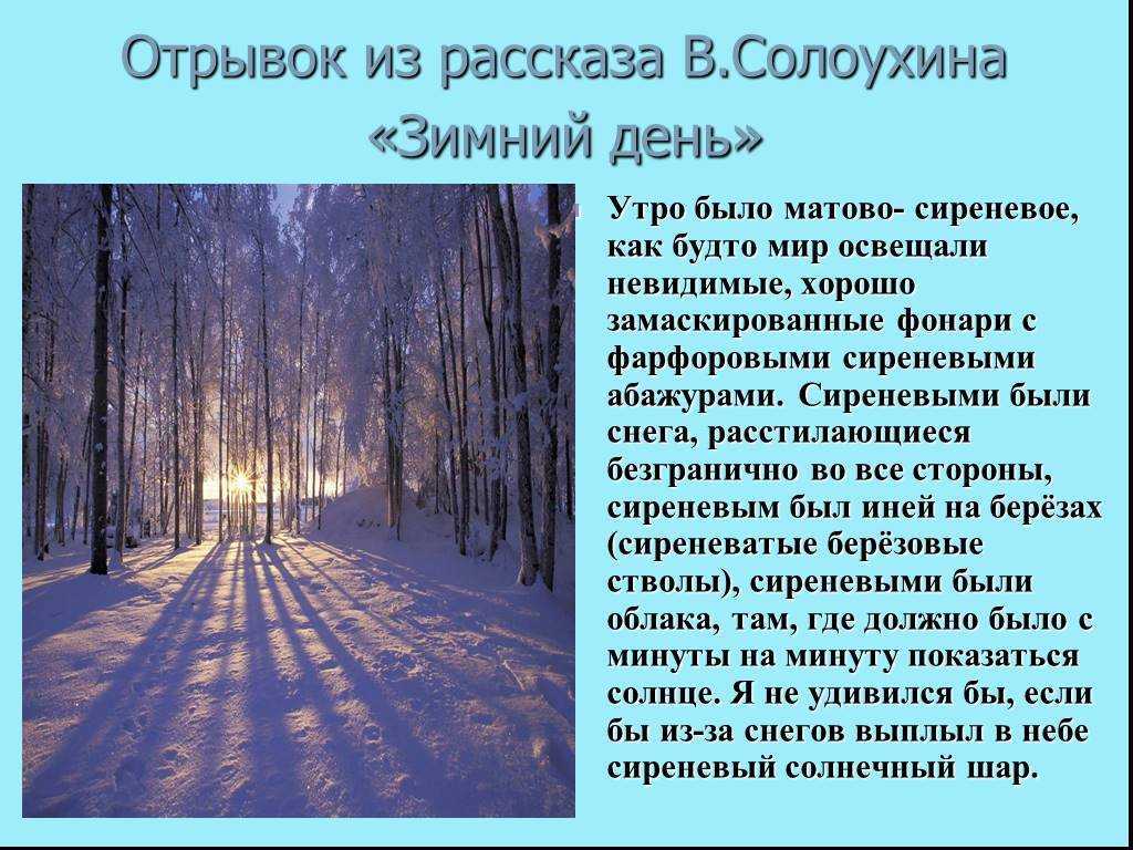 Сочинение вид из моего окна зимой 6, 5 класс