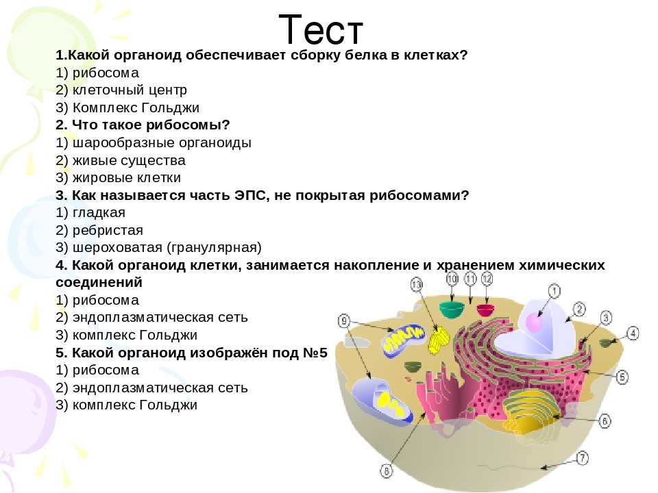 Тесты по биологии 9 класс
