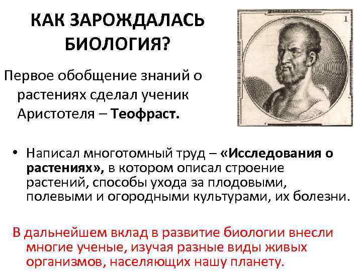 Афанасий никитин путешествие сочинение