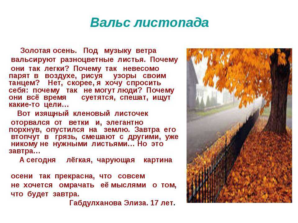 Сочинение о чем шептались осенние листья