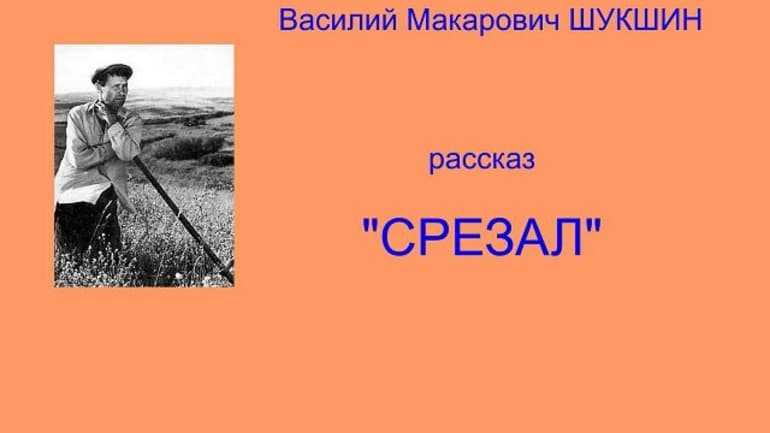 Сочинения о войне – никто не забыт